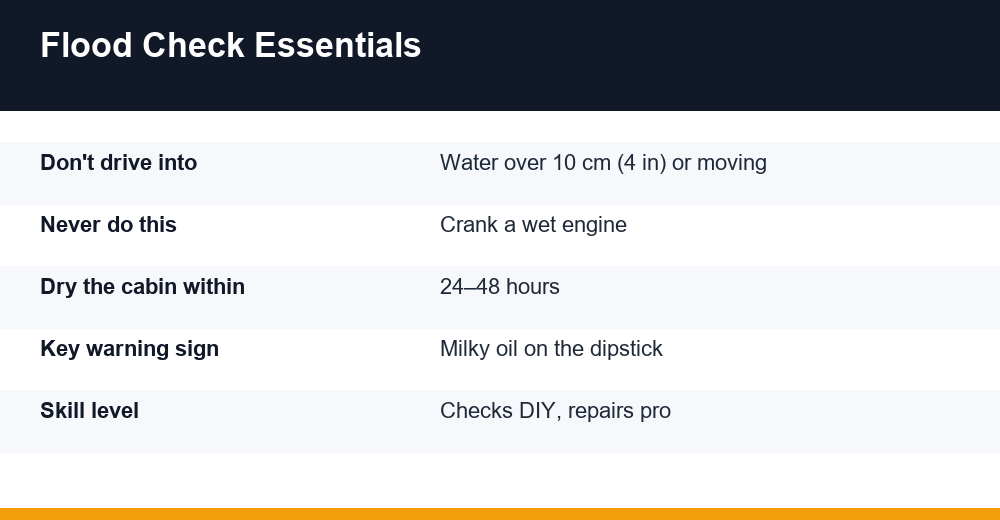 car flood damage checks — infographie