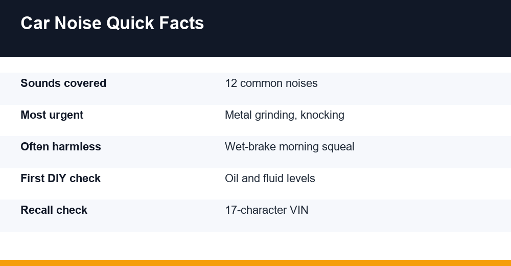 strange car noises — infographic